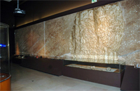 The Museum of Anthropology